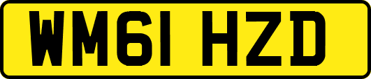 WM61HZD