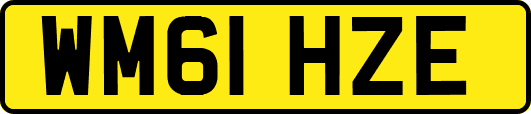 WM61HZE