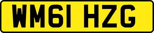 WM61HZG