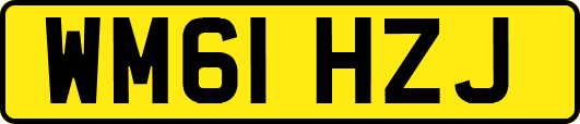 WM61HZJ
