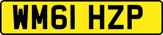 WM61HZP