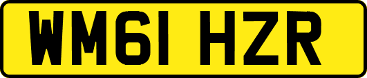 WM61HZR