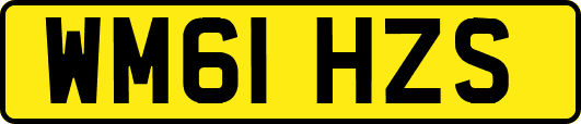 WM61HZS