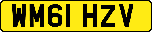 WM61HZV