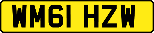 WM61HZW