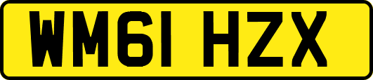 WM61HZX