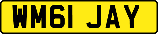 WM61JAY