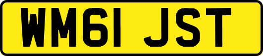 WM61JST