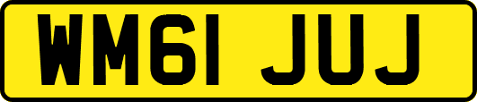 WM61JUJ
