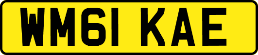 WM61KAE