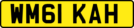 WM61KAH