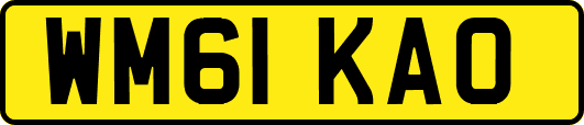 WM61KAO