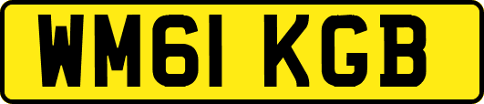 WM61KGB
