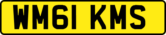 WM61KMS