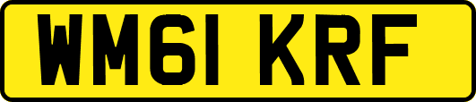 WM61KRF