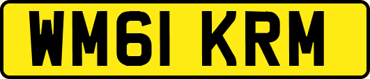 WM61KRM