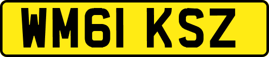 WM61KSZ