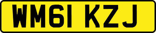 WM61KZJ