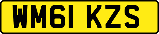 WM61KZS