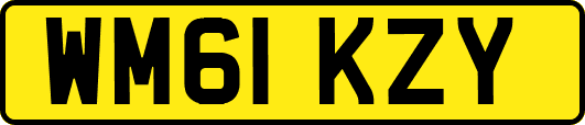WM61KZY