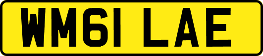 WM61LAE