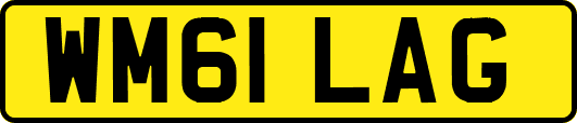 WM61LAG