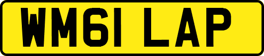 WM61LAP