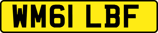 WM61LBF