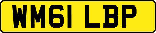 WM61LBP