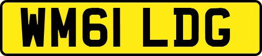 WM61LDG
