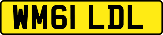 WM61LDL