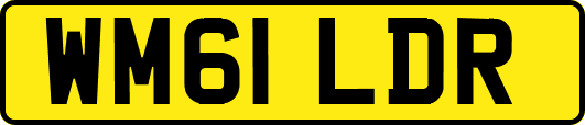 WM61LDR
