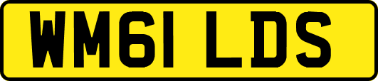 WM61LDS