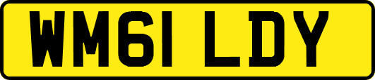 WM61LDY