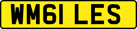 WM61LES