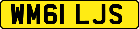 WM61LJS