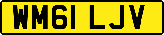 WM61LJV