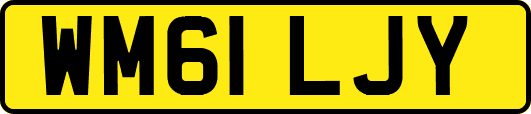 WM61LJY