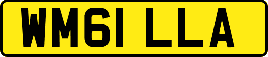 WM61LLA