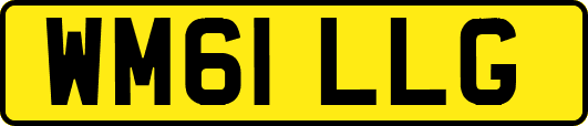 WM61LLG