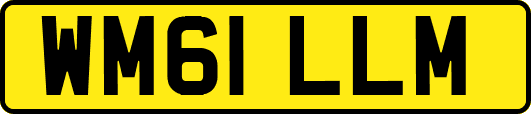 WM61LLM
