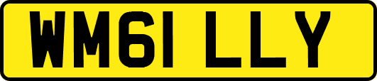 WM61LLY