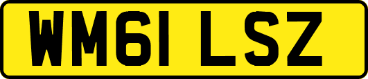 WM61LSZ