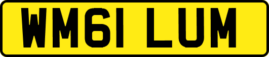 WM61LUM