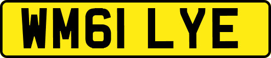 WM61LYE
