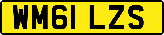 WM61LZS