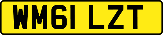 WM61LZT