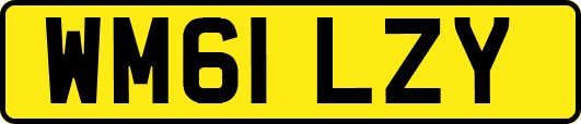 WM61LZY