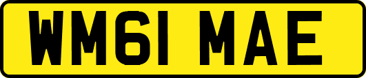 WM61MAE