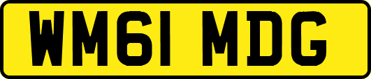 WM61MDG